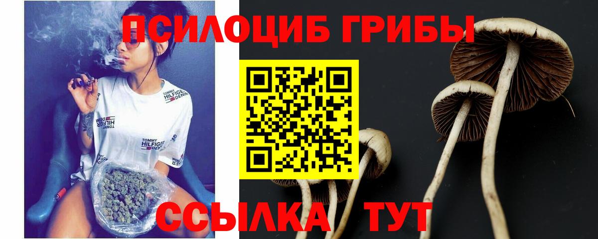 Псилоцибиновые грибы Magic Shrooms Братск